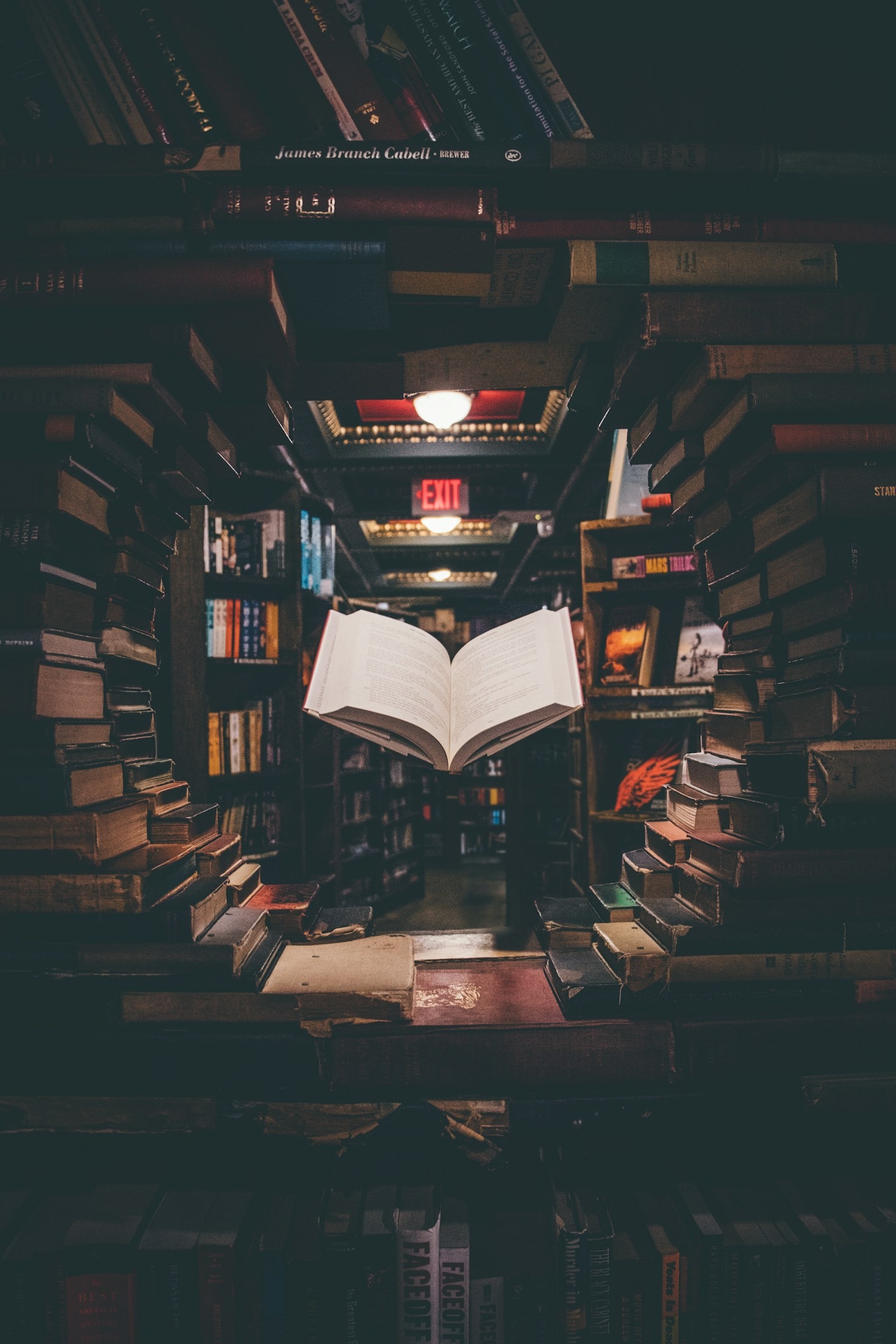 How Cultural Fusion is Changing Modern Literature
