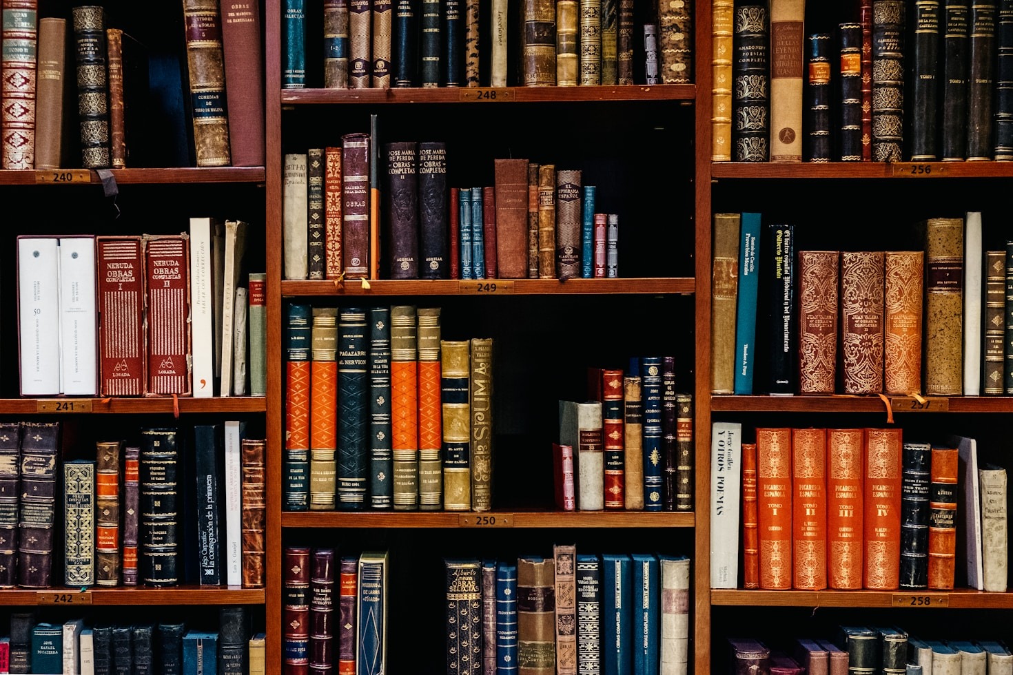 Why Bold Voices Matter in Today’s Literary Scene